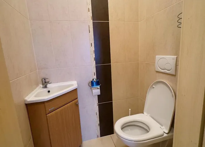 Mountain Klinovec Hexagon B14 アパート *